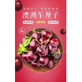 Bite Riot 澳洲新南威尔士 顶级车厘子  